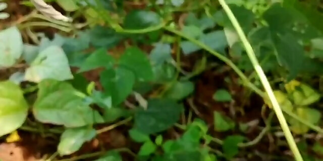 amateur,exclusive,indian,masturbating,tamil,verified